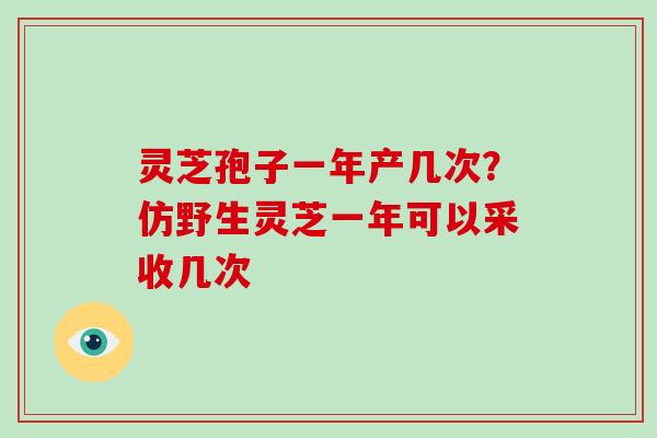 灵芝孢子一年产几次？仿野生灵芝一年可以采收几次