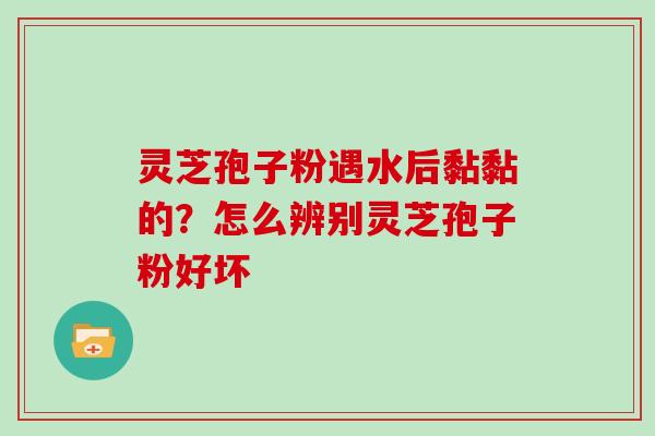 灵芝孢子粉遇水后黏黏的？怎么辨别灵芝孢子粉好坏