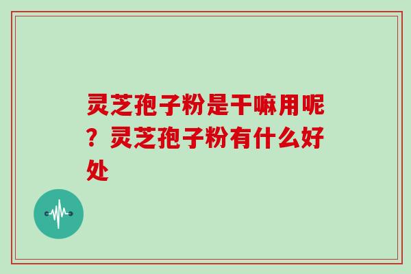 灵芝孢子粉是干嘛用呢？灵芝孢子粉有什么好处