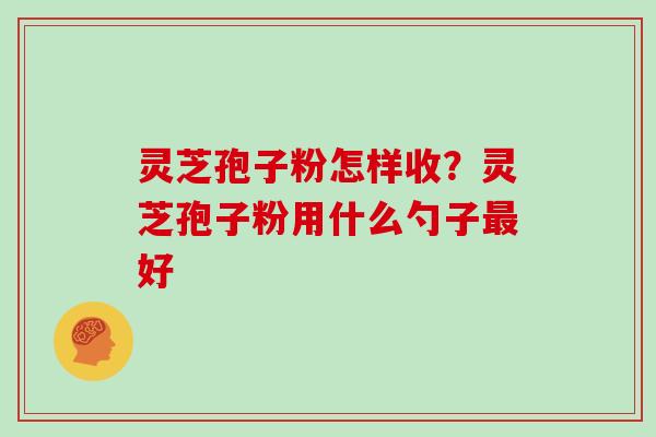 灵芝孢子粉怎样收？灵芝孢子粉用什么勺子最好