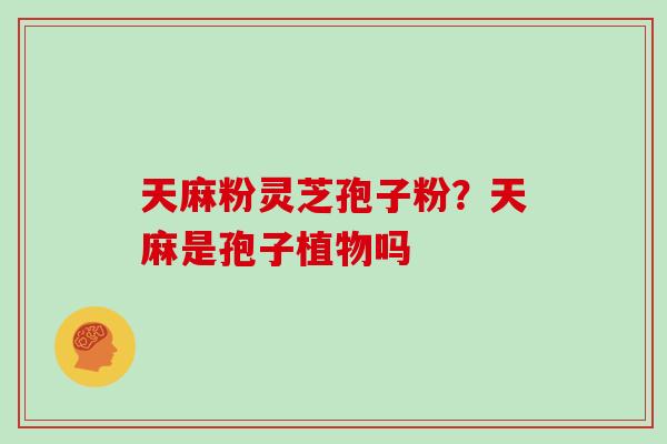 天麻粉灵芝孢子粉？天麻是孢子植物吗