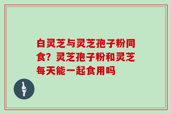 白灵芝与灵芝孢子粉同食？灵芝孢子粉和灵芝每天能一起食用吗