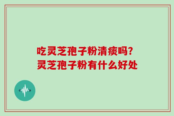 吃灵芝孢子粉清痰吗？灵芝孢子粉有什么好处