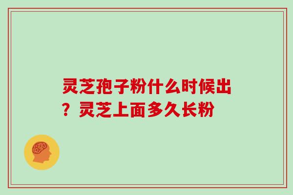 灵芝孢子粉什么时候出？灵芝上面多久长粉