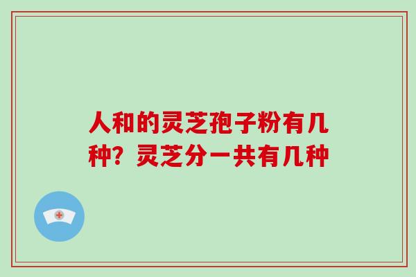 人和的灵芝孢子粉有几种？灵芝分一共有几种