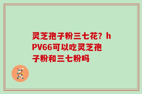 灵芝孢子粉三七花？hPV66可以吃灵芝孢子粉和三七粉吗