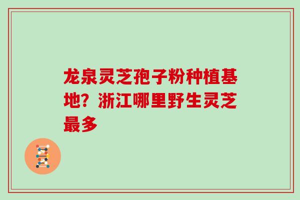 龙泉灵芝孢子粉种植基地？浙江哪里野生灵芝最多