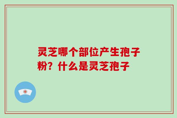 灵芝哪个部位产生孢子粉？什么是灵芝孢子