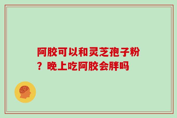 阿胶可以和灵芝孢子粉？晚上吃阿胶会胖吗