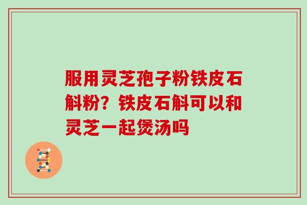 服用灵芝孢子粉铁皮石斛粉？铁皮石斛可以和灵芝一起煲汤吗