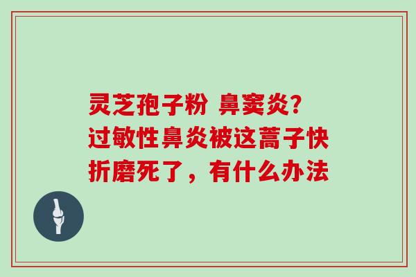 灵芝孢子粉 鼻窦炎？过敏性鼻炎被这蒿子快折磨死了，有什么办法