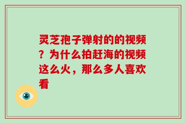 灵芝孢子弹射的的视频？为什么拍赶海的视频这么火，那么多人喜欢看