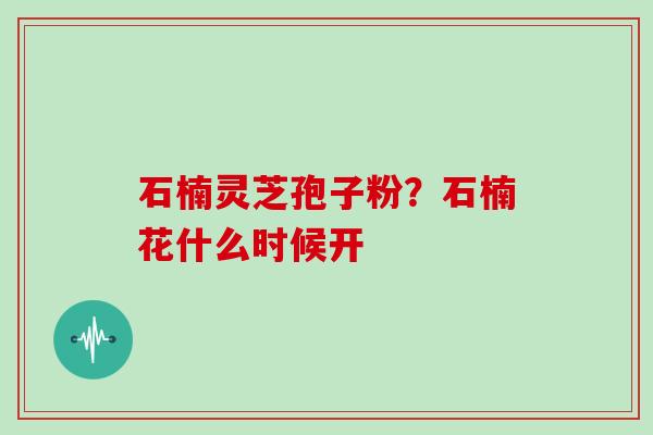石楠灵芝孢子粉？石楠花什么时候开