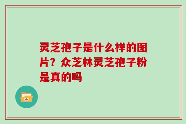 灵芝孢子是什么样的图片？众芝林灵芝孢子粉是真的吗
