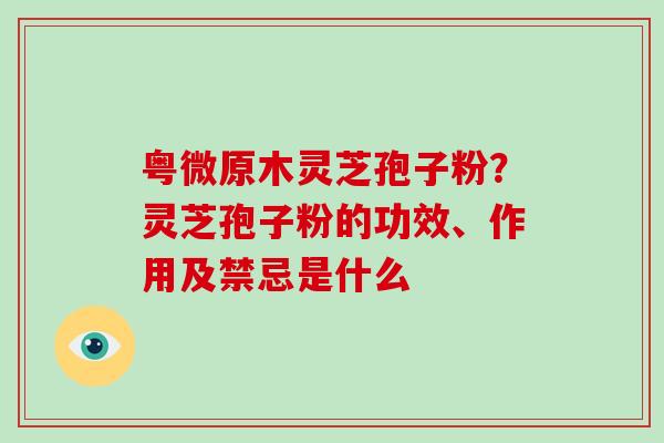 粤微原木灵芝孢子粉？灵芝孢子粉的功效、作用及禁忌是什么