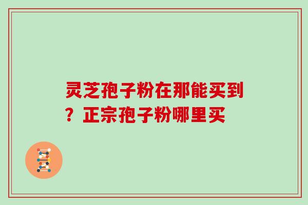 灵芝孢子粉在那能买到？正宗孢子粉哪里买