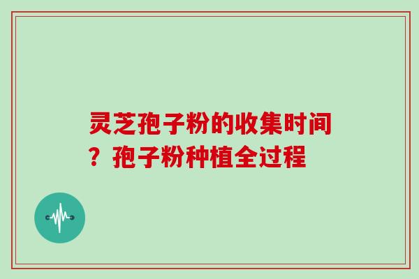 灵芝孢子粉的收集时间？孢子粉种植全过程