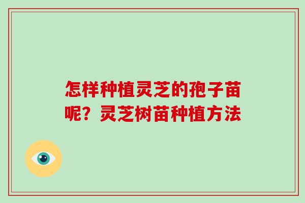 怎样种植灵芝的孢子苗呢？灵芝树苗种植方法