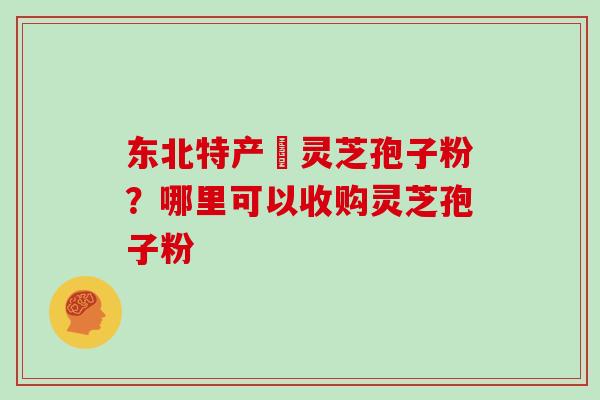东北特产舘灵芝孢子粉？哪里可以收购灵芝孢子粉