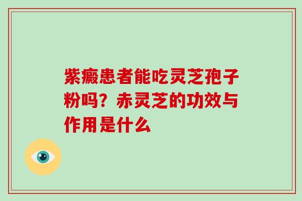 紫癜患者能吃灵芝孢子粉吗？赤灵芝的功效与作用是什么