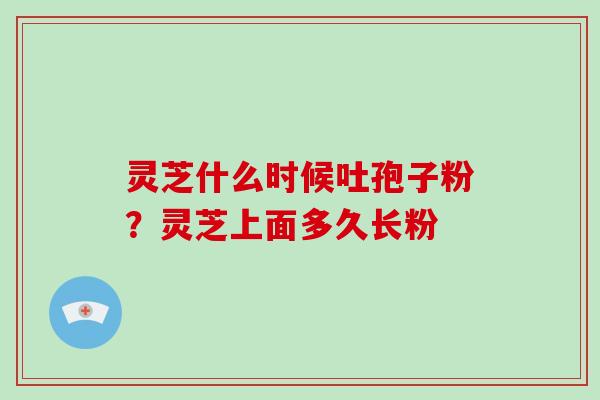灵芝什么时候吐孢子粉？灵芝上面多久长粉