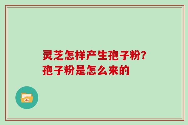 灵芝怎样产生孢子粉？孢子粉是怎么来的