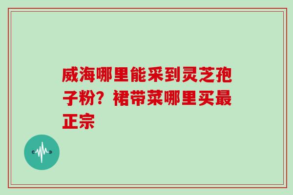 威海哪里能采到灵芝孢子粉？裙带菜哪里买最正宗