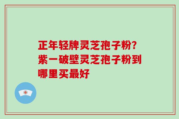 正年轻牌灵芝孢子粉？紫一破壁灵芝孢子粉到哪里买最好