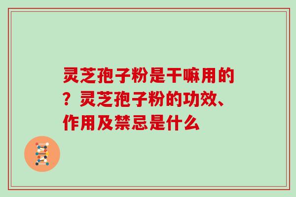 灵芝孢子粉是干嘛用的?灵芝孢子粉的功效、作用及禁忌是什么-第1张图片-灵芝大师 灵芝孢子粉是干嘛用的?灵芝孢子粉的功效、作用及禁忌是什么-第1张图片-灵芝大师