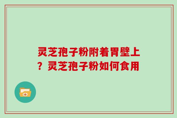 灵芝孢子粉附着胃壁上？灵芝孢子粉如何食用