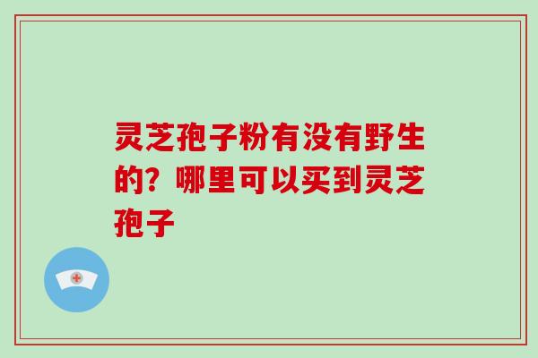 灵芝孢子粉有没有野生的？哪里可以买到灵芝孢子
