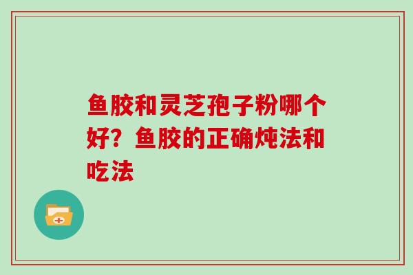 鱼胶和灵芝孢子粉哪个好?鱼胶的正确炖法和吃法-第1张图片-灵芝大师 鱼胶和灵芝孢子粉哪个好?鱼胶的正确炖法和吃法-第1张图片-灵芝大师