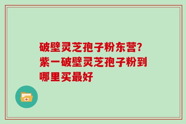 破壁灵芝孢子粉东营？紫一破壁灵芝孢子粉到哪里买最好