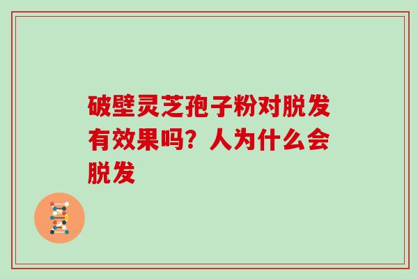 破壁灵芝孢子粉对脱发有效果吗？人为什么会脱发