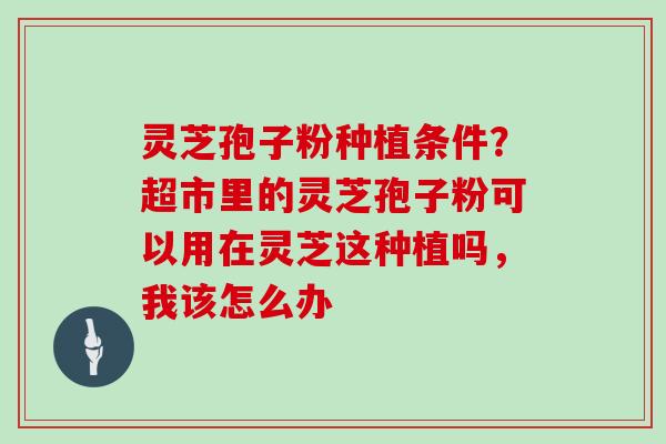 灵芝孢子粉种植条件？超市里的灵芝孢子粉可以用在灵芝这种植吗，我该怎么办