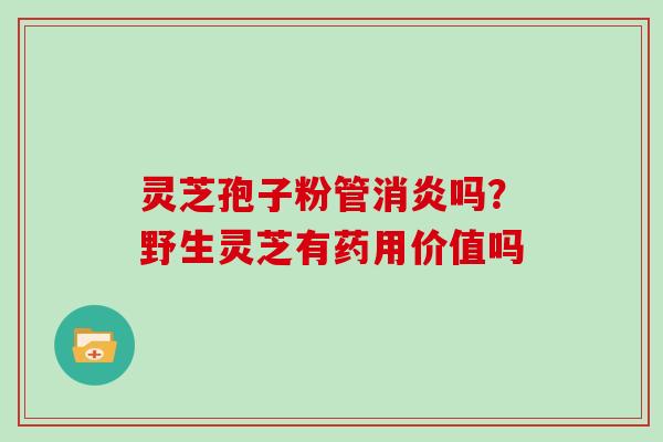 灵芝孢子粉管消炎吗？野生灵芝有药用价值吗