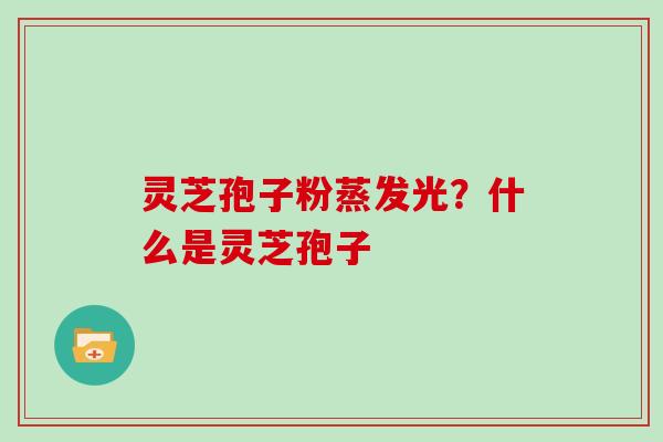 灵芝孢子粉蒸发光？什么是灵芝孢子