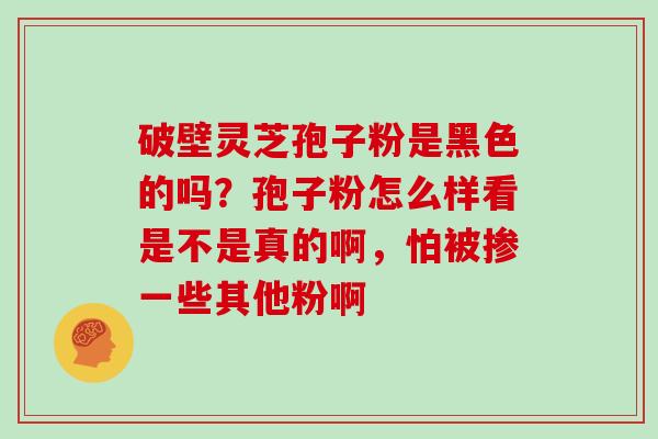 破壁灵芝孢子粉是黑色的吗？孢子粉怎么样看是不是真的啊，怕被掺一些其他粉啊