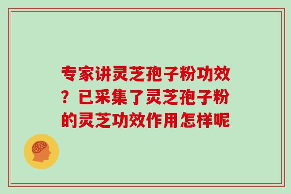 专家讲灵芝孢子粉功效？已采集了灵芝孢子粉的灵芝功效作用怎样呢