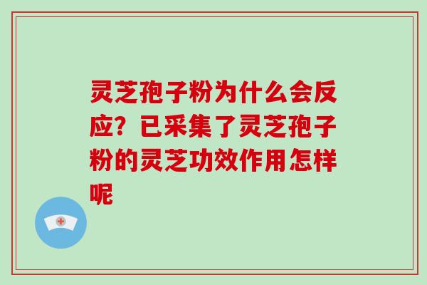 灵芝孢子粉为什么会反应？已采集了灵芝孢子粉的灵芝功效作用怎样呢