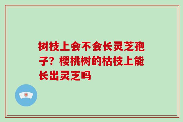树枝上会不会长灵芝孢子?樱桃树的枯枝上能长出灵芝吗-第1张图片-灵芝大师 树枝上会不会长灵芝孢子?樱桃树的枯枝上能长出灵芝吗-第1张图片-灵芝大师