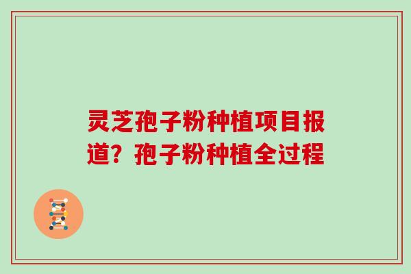 灵芝孢子粉种植项目报道？孢子粉种植全过程