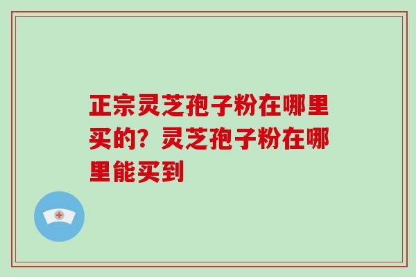 正宗灵芝孢子粉在哪里买的？灵芝孢子粉在哪里能买到