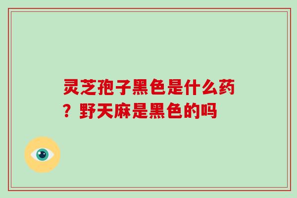 灵芝孢子黑色是什么药？野天麻是黑色的吗