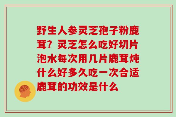 野生人参灵芝孢子粉鹿茸？灵芝怎么吃好切片泡水每次用几片鹿茸炖什么好多久吃一次合适鹿茸的功效是什么