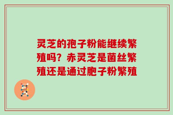 灵芝的孢子粉能继续繁殖吗？赤灵芝是菌丝繁殖还是通过胞子粉繁殖