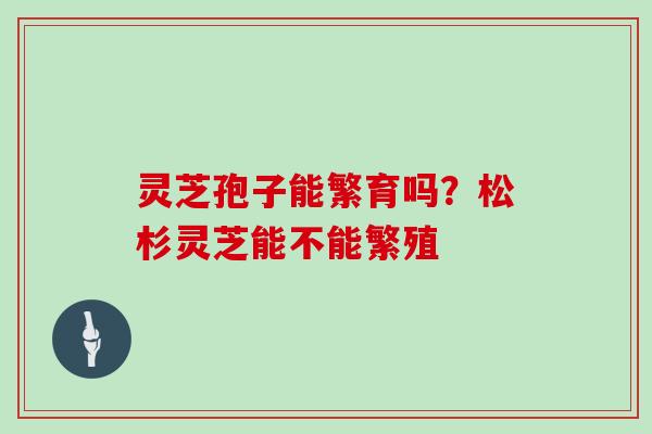 灵芝孢子能繁育吗？松杉灵芝能不能繁殖