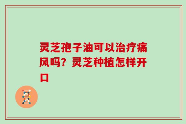 灵芝孢子油可以治疗痛风吗？灵芝种植怎样开口