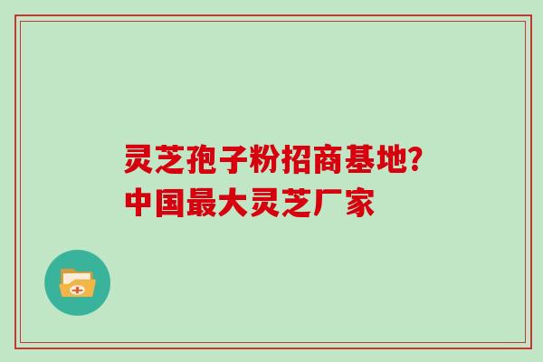 灵芝孢子粉招商基地？中国最大灵芝厂家