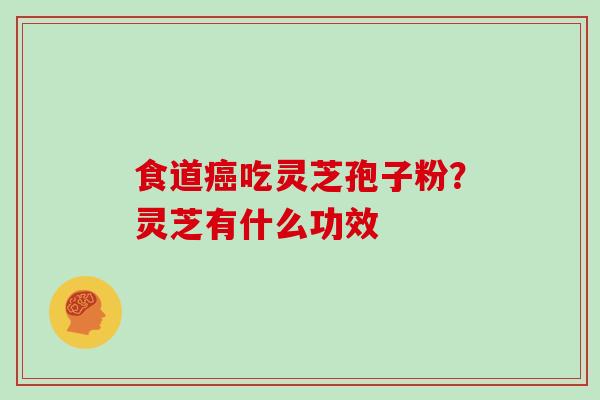 食道癌吃灵芝孢子粉？灵芝有什么功效
